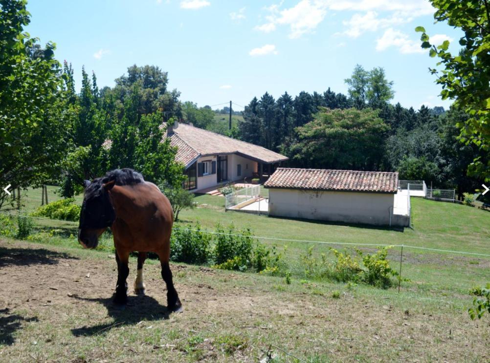 Love Room- Spa- Escale Amoureuse Puygaillard-de-Quercy Екстериор снимка